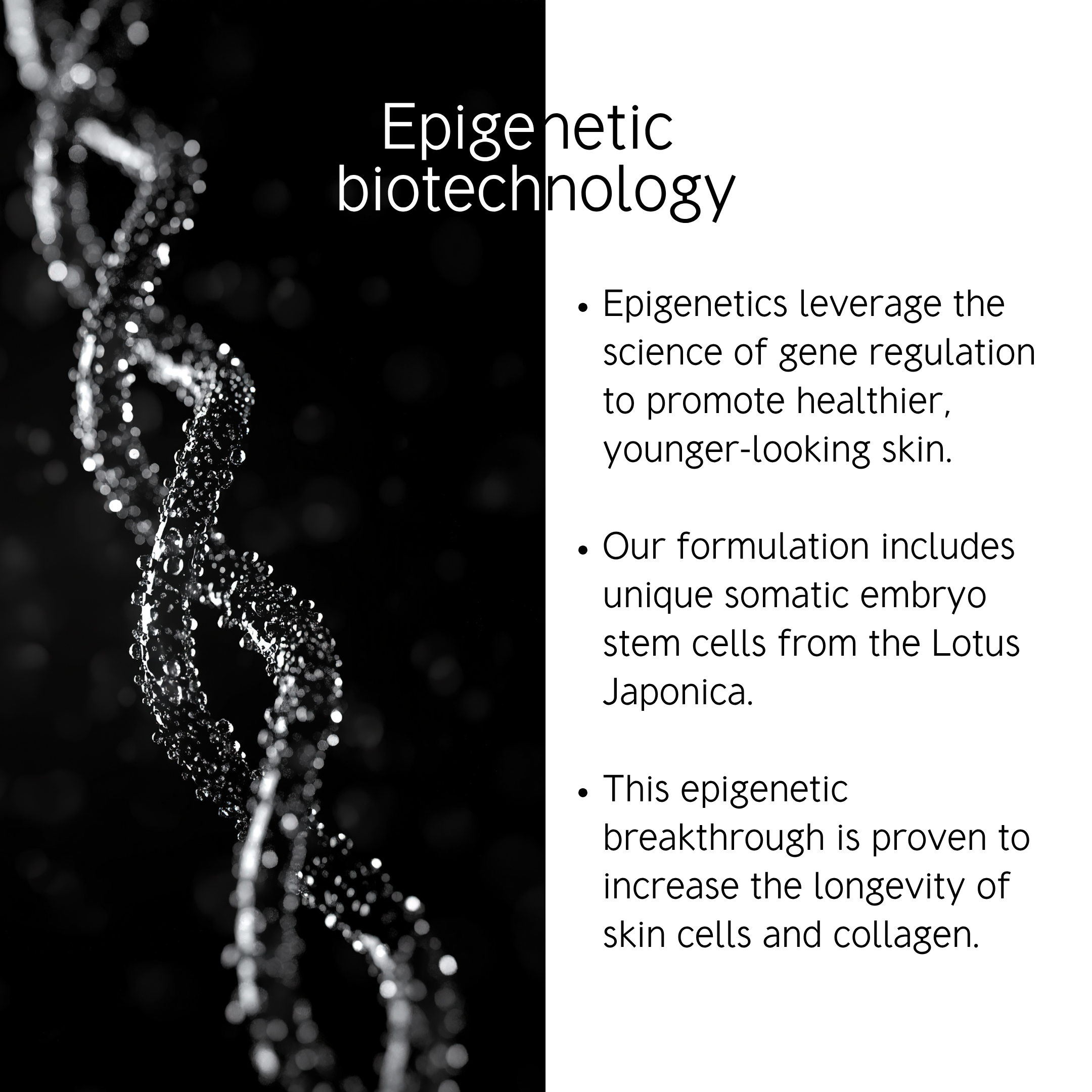 Fire & Snow - 5-Day Medi-cure